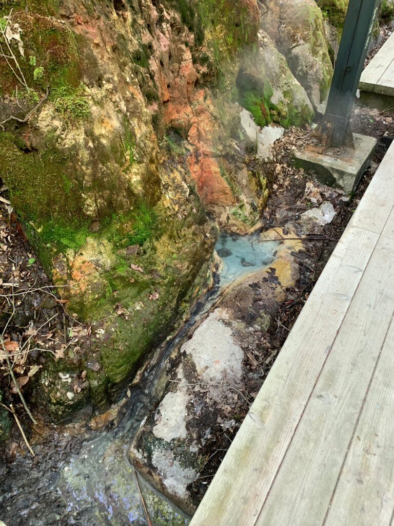 地獄谷遊歩道・温水が湧き出るところ