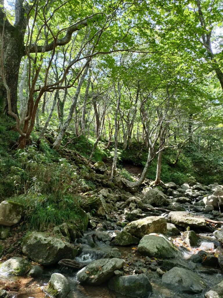 七北田川源流「ヒジ川」